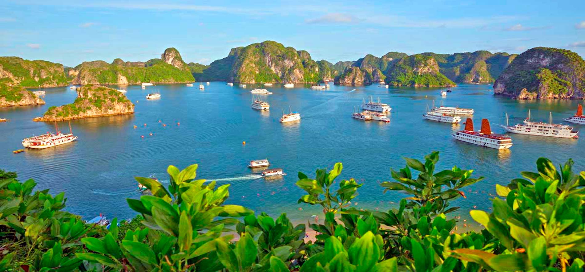 Туристическая страховка для поездки во Вьетнам